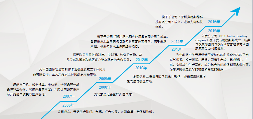公司历程